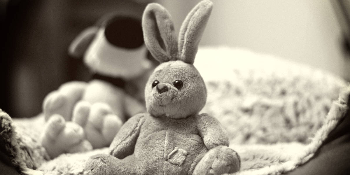 8 Rarest Stuffed Animals And Why They Are Every Collector's Dream -  