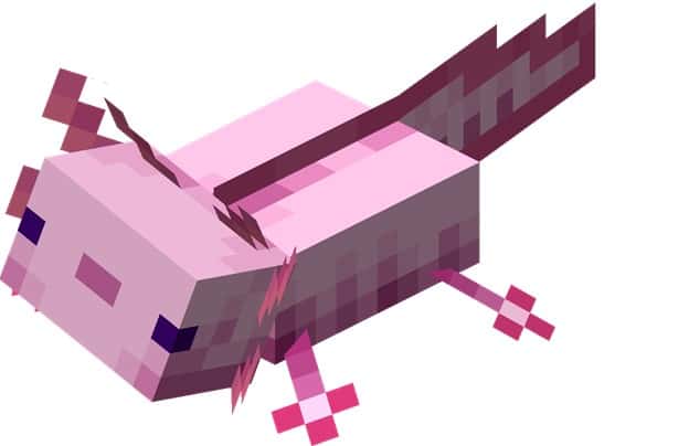 5 Rarest Colors Of Axolotl In Minecraft Rarest 2022 