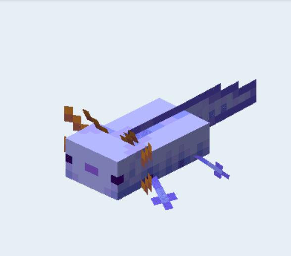 Blue Axolotl