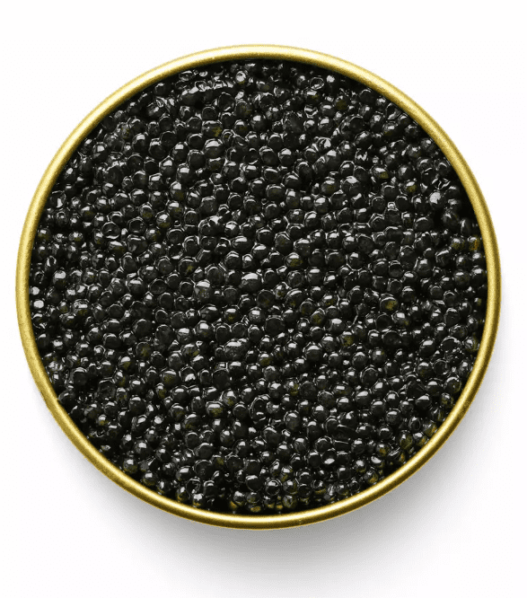 American Hackleback Caviar