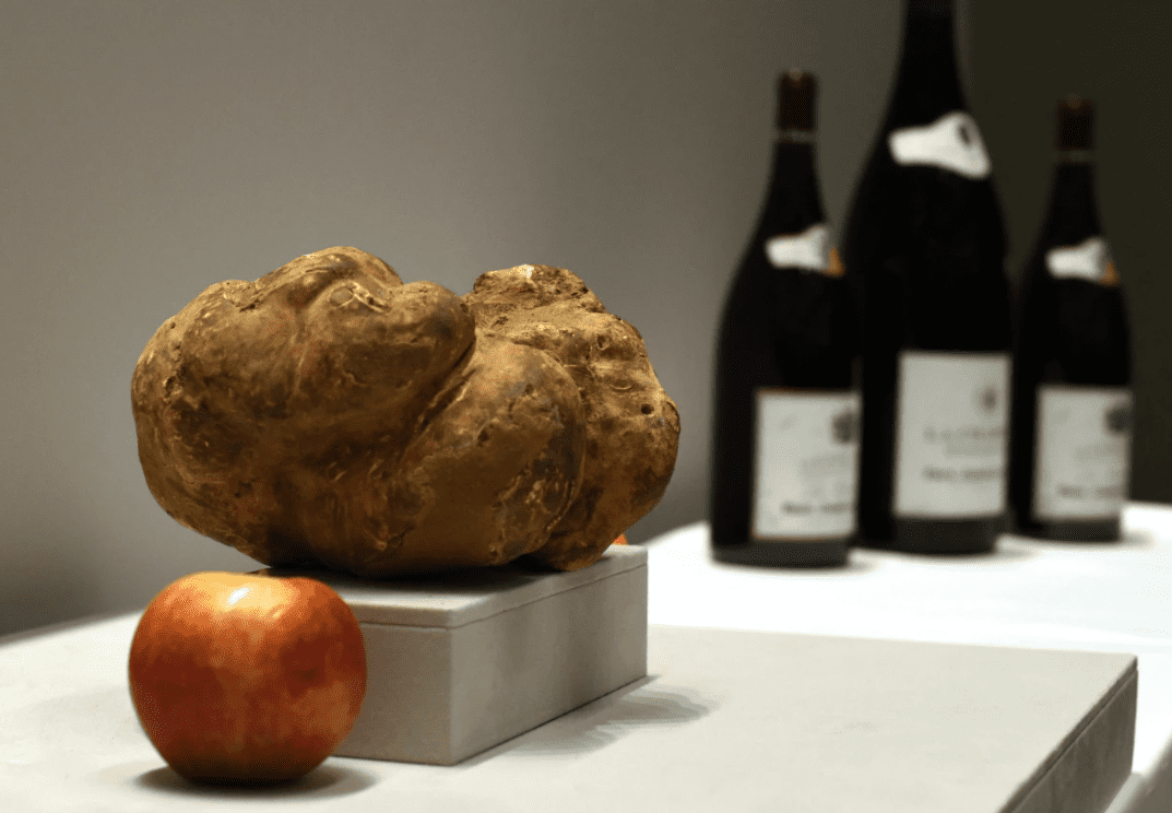 8 Most Expensive Truffles in the World