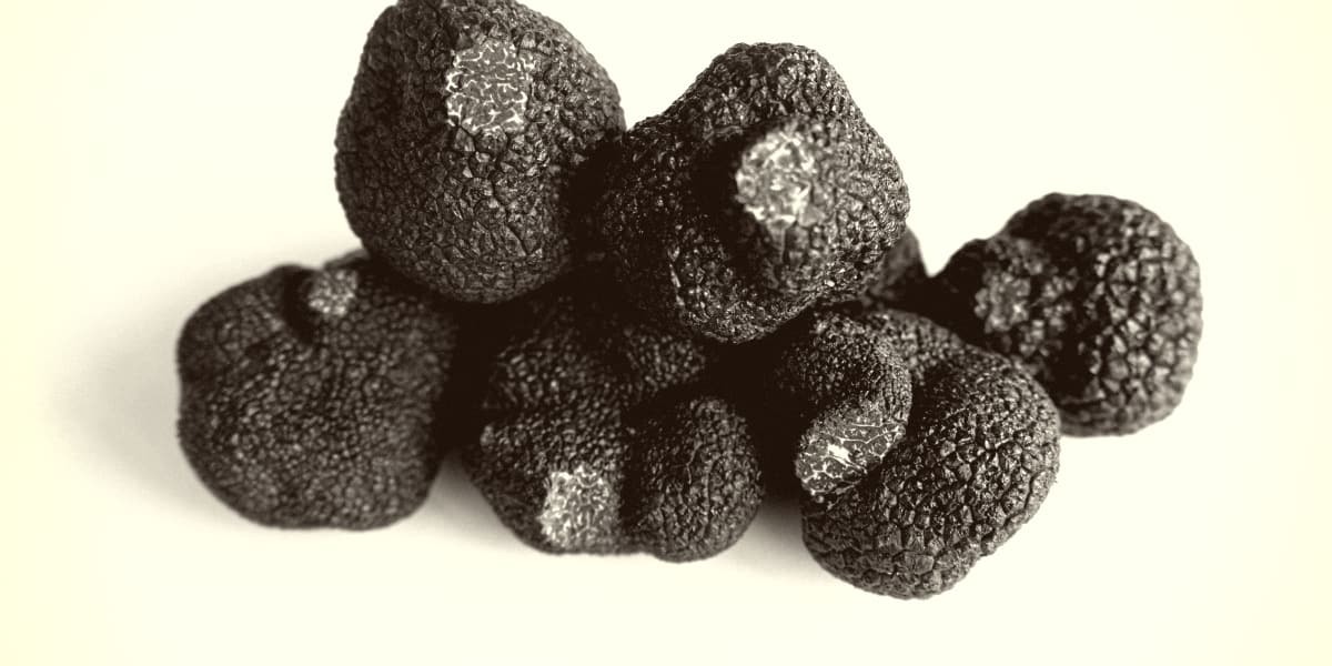 Most Expensive Truffles in the World