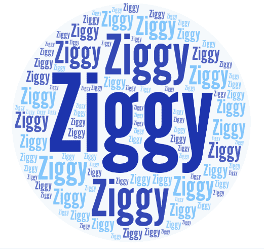 Ziggy 