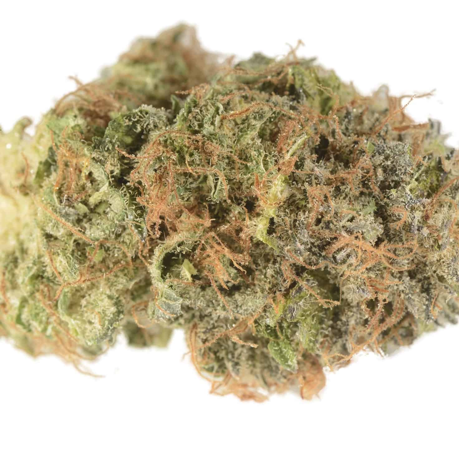 9 Most Expensive Strains of Weed - Rarest.org