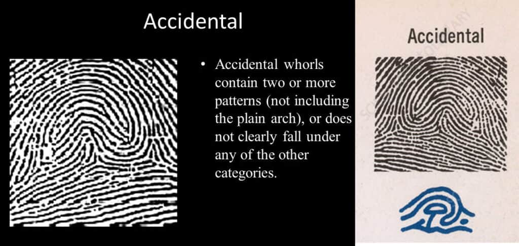 Accidental Fingerprint
