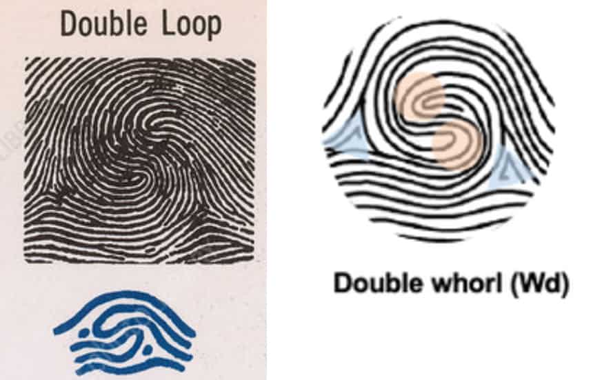Double Loop