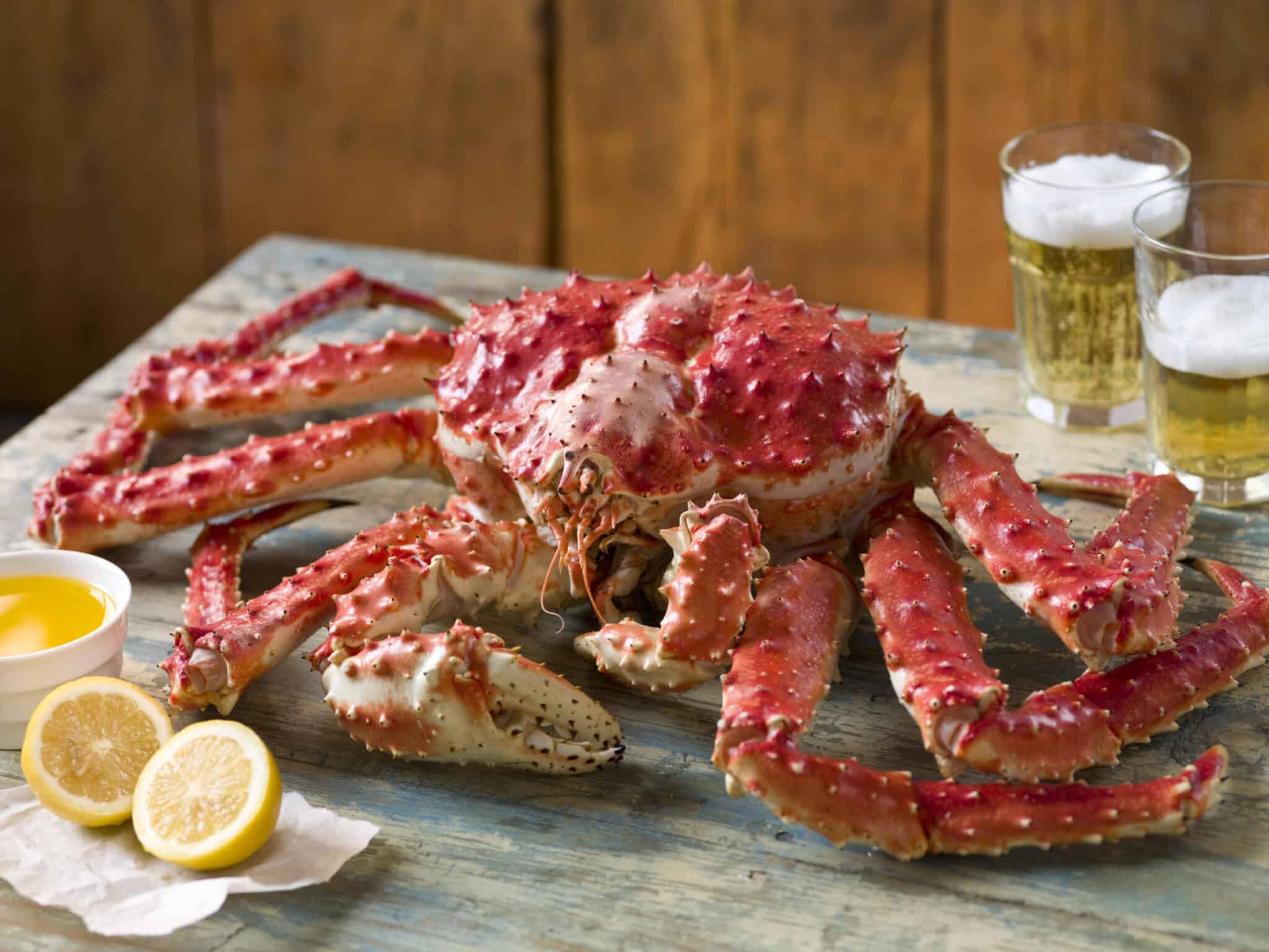 8 Most Expensive Crabs in the World