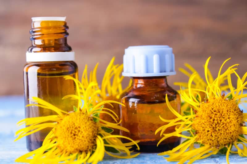 Elecampane Essential Oil