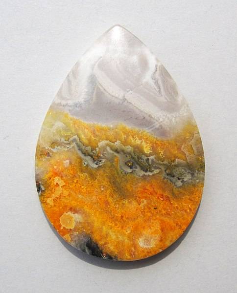 Bumblebee Jasper