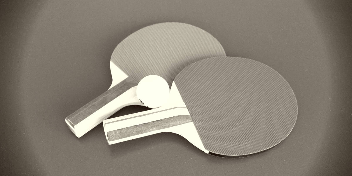 Most Expensive Ping Pong Paddles