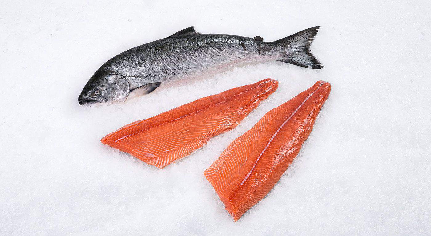 Wild Alaskan King Salmon