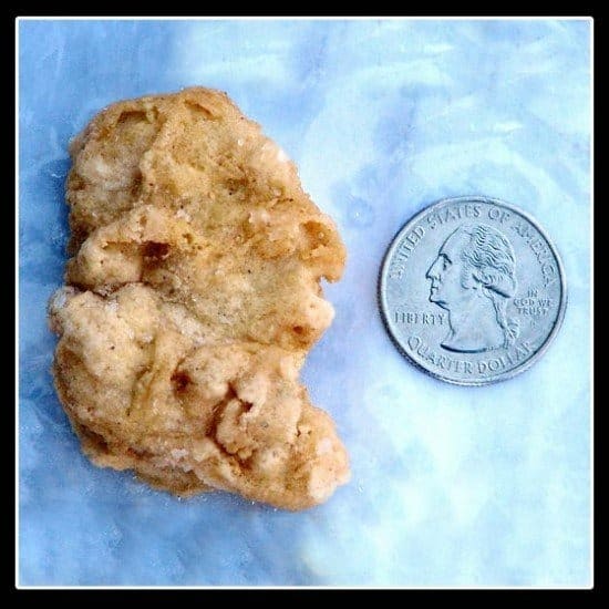 1000-Day Old Frozen McNugget