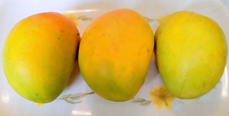 badami mango