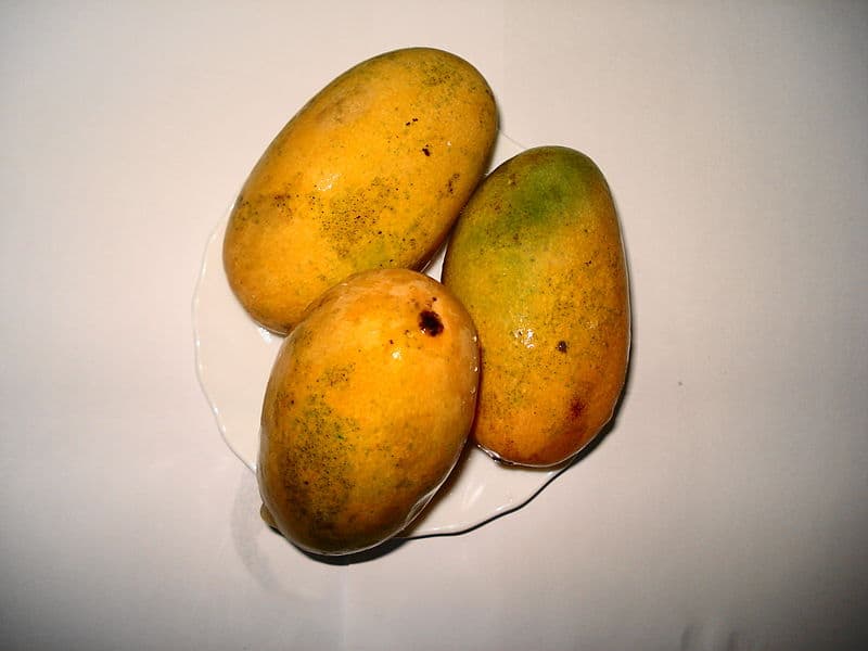 dasheri mango