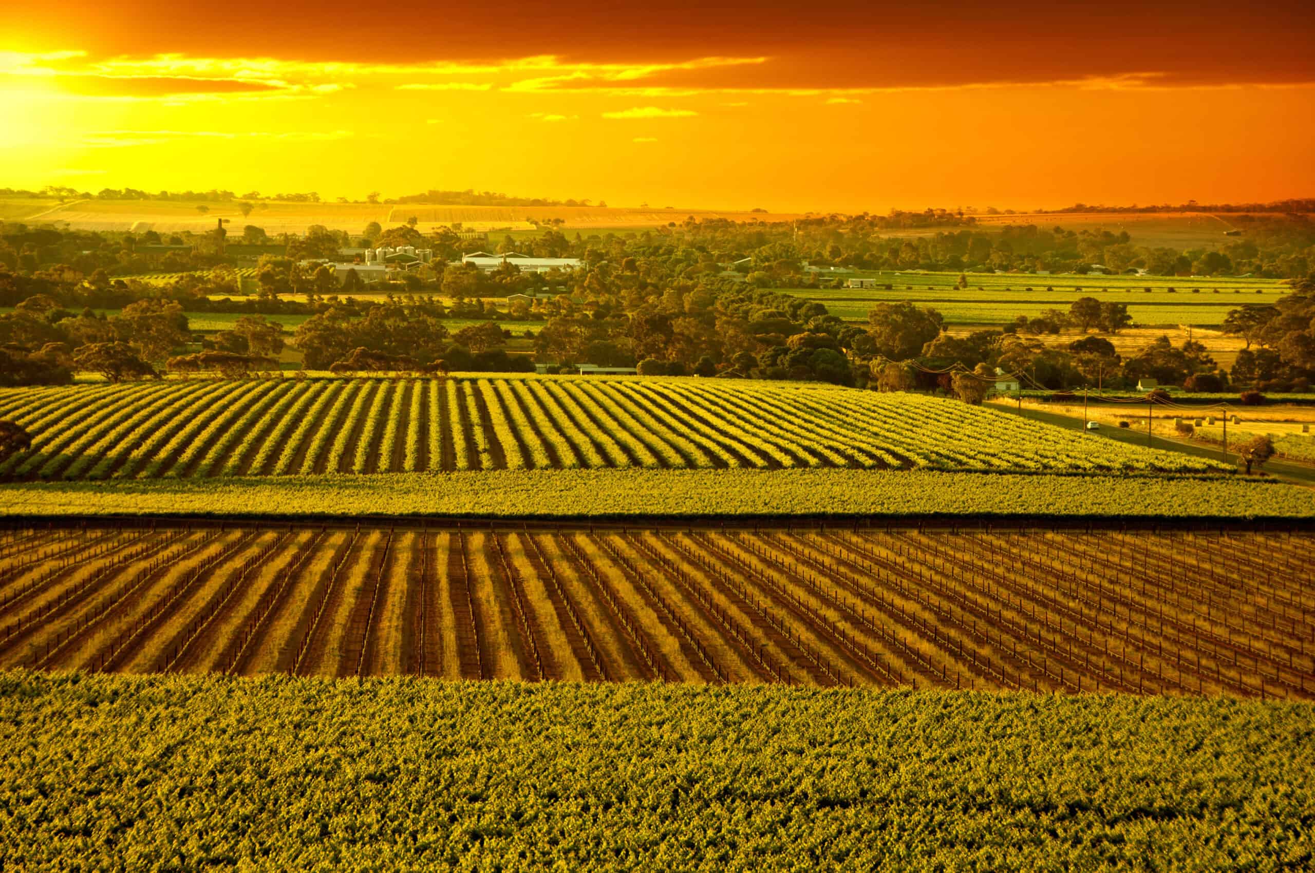 Barossa Valley, Australia