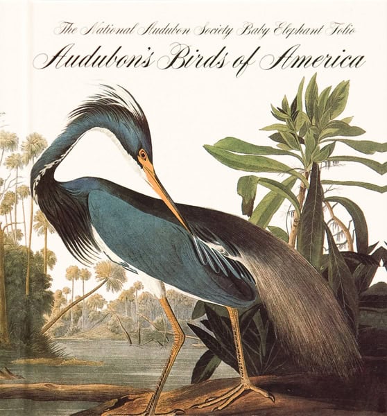 Birds of America by John James Audubon (1827–1838)