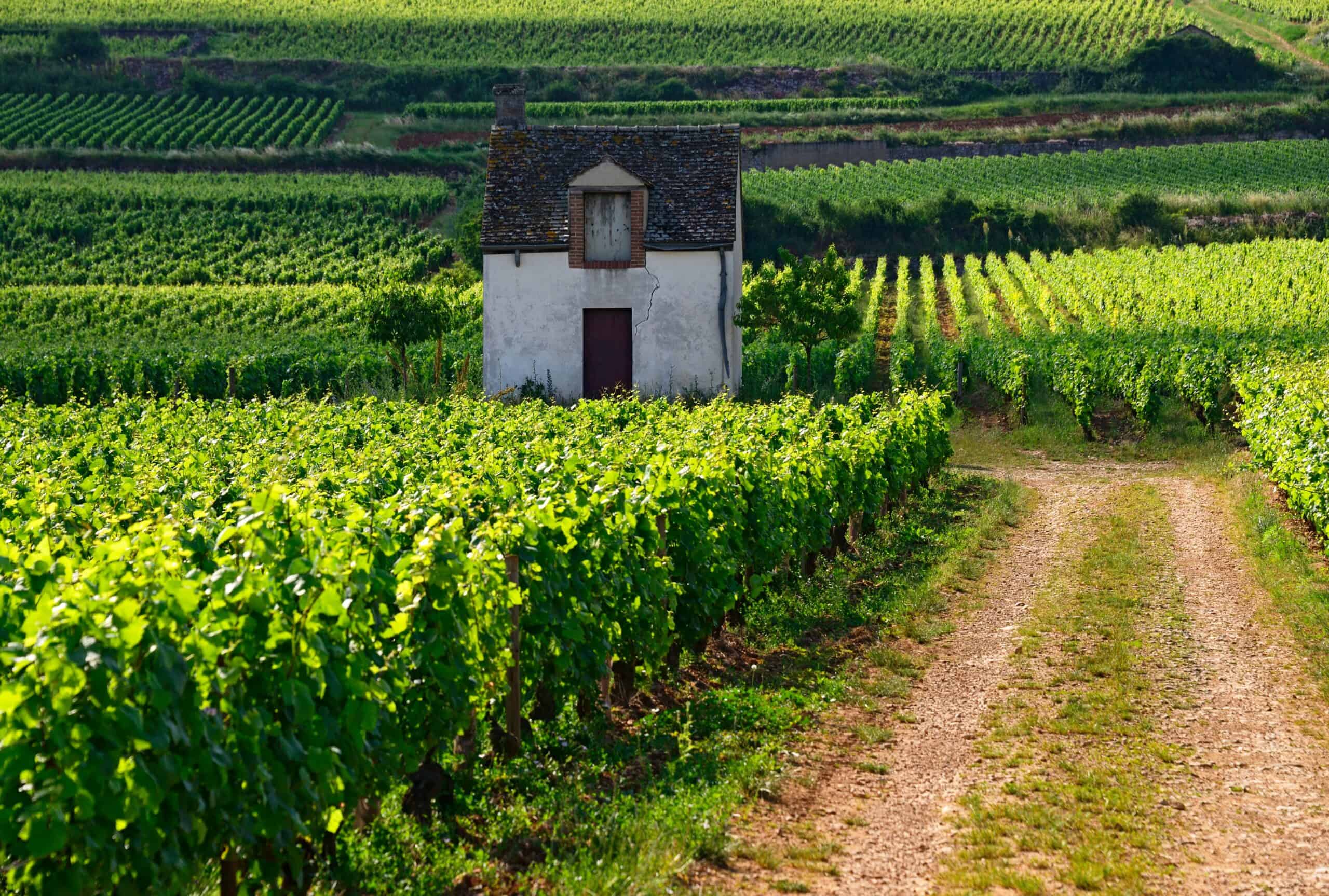 Burgundy, France