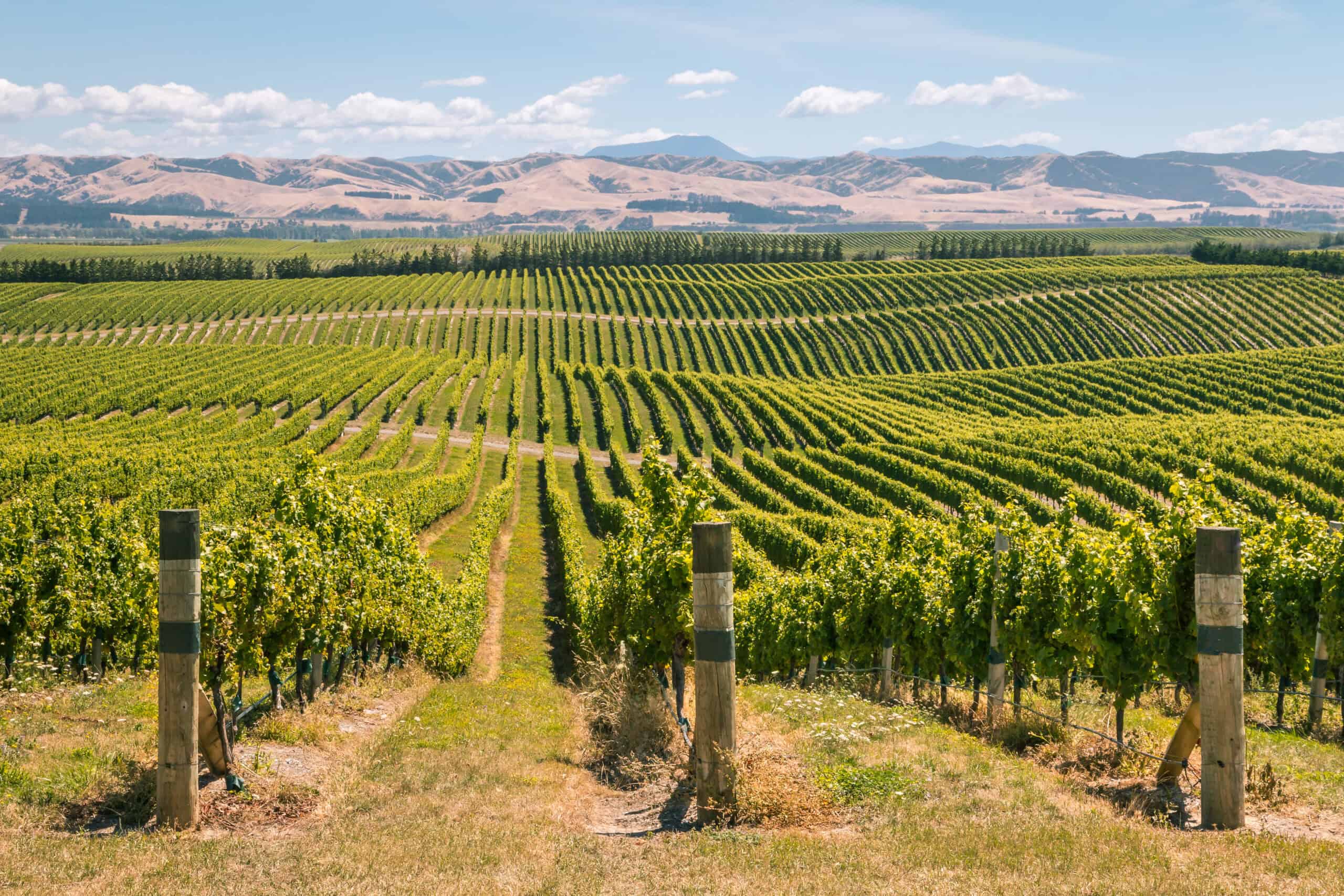 Marlborough, New Zealand