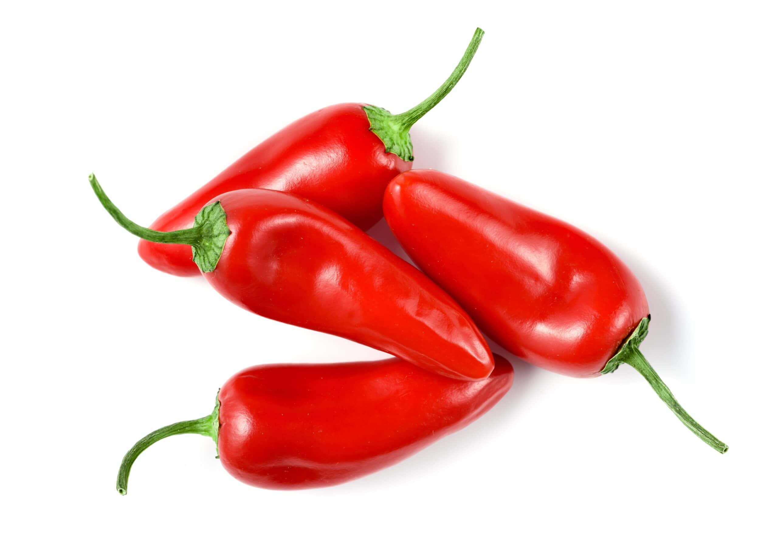 Piri Piri