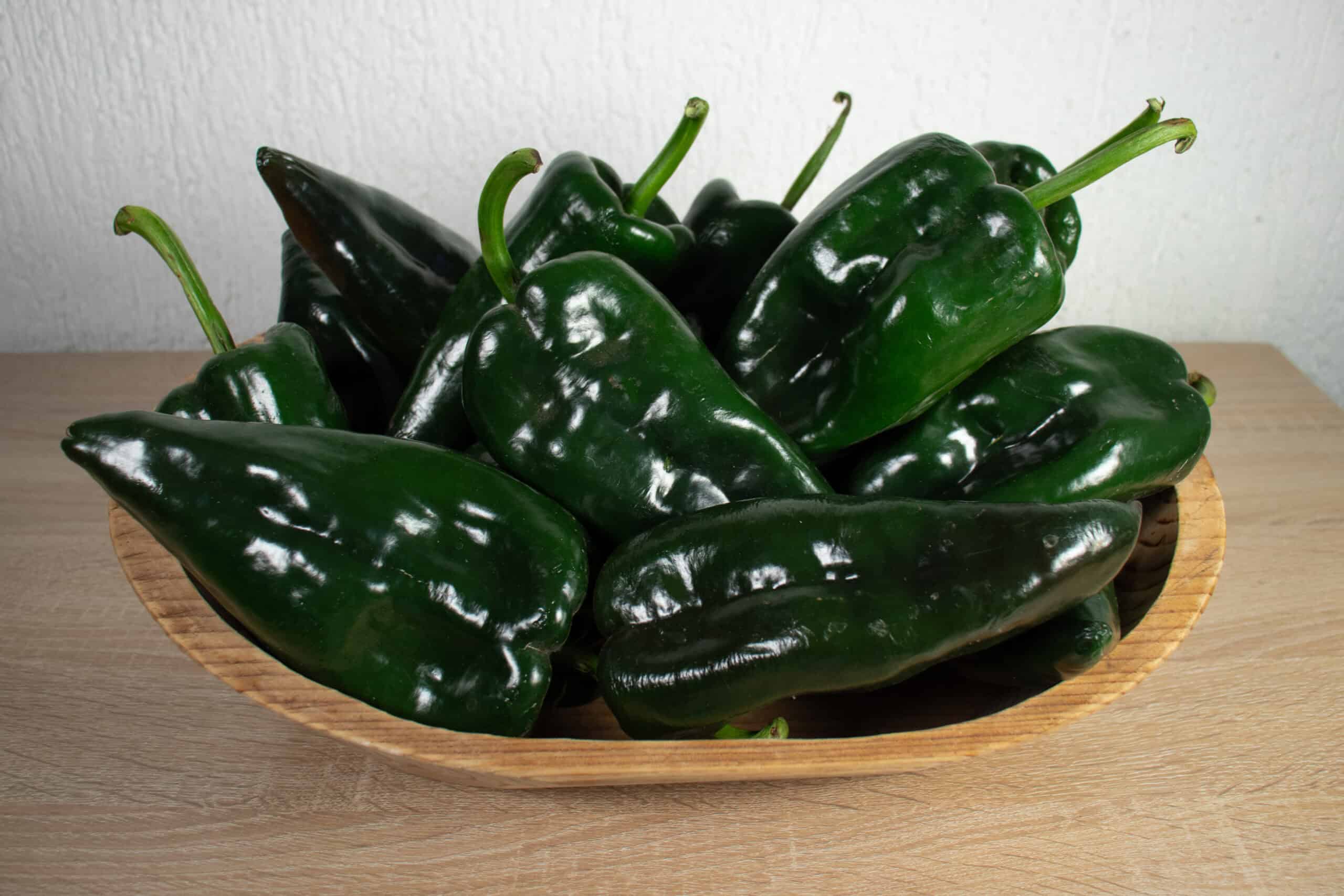 Poblano Pepper