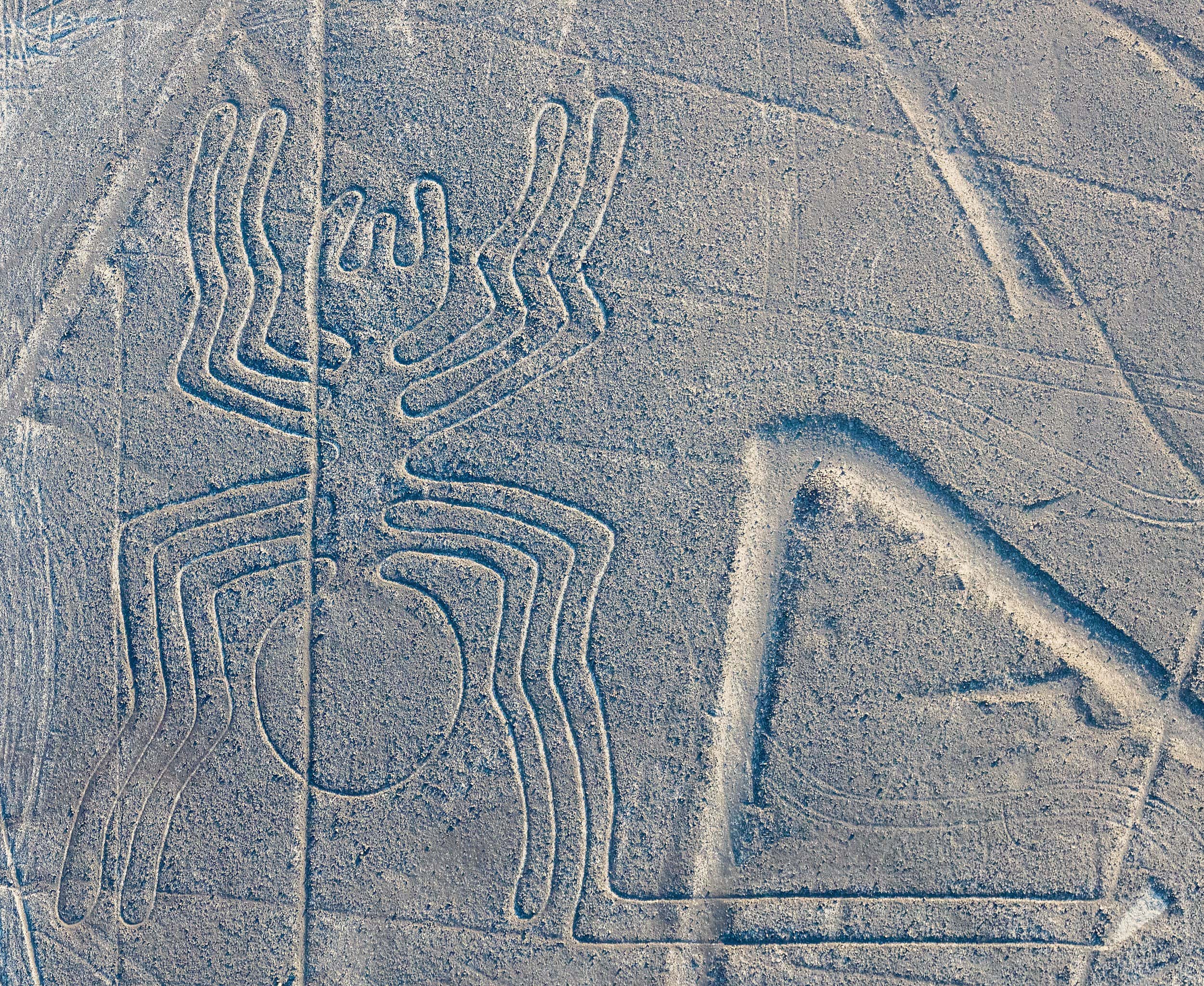 The Nazca Lines