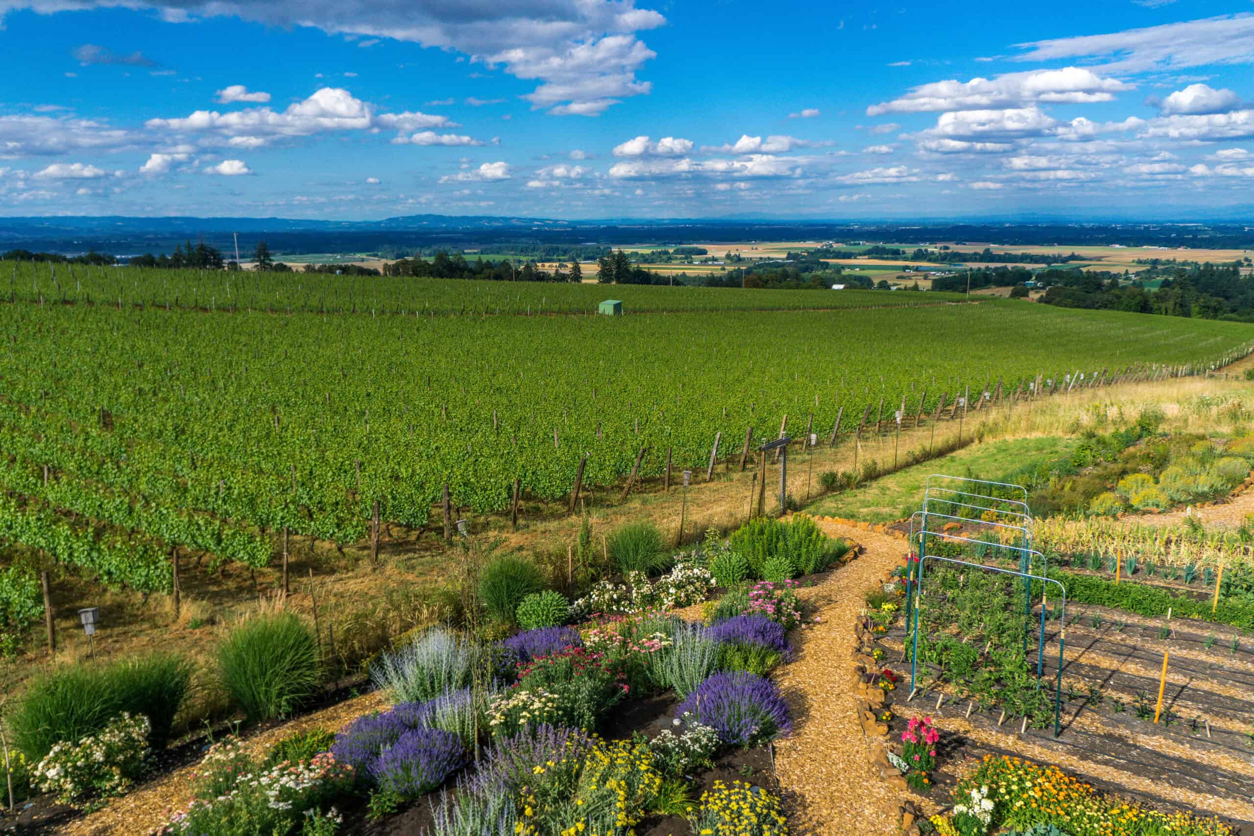 Willamette Valley, USA