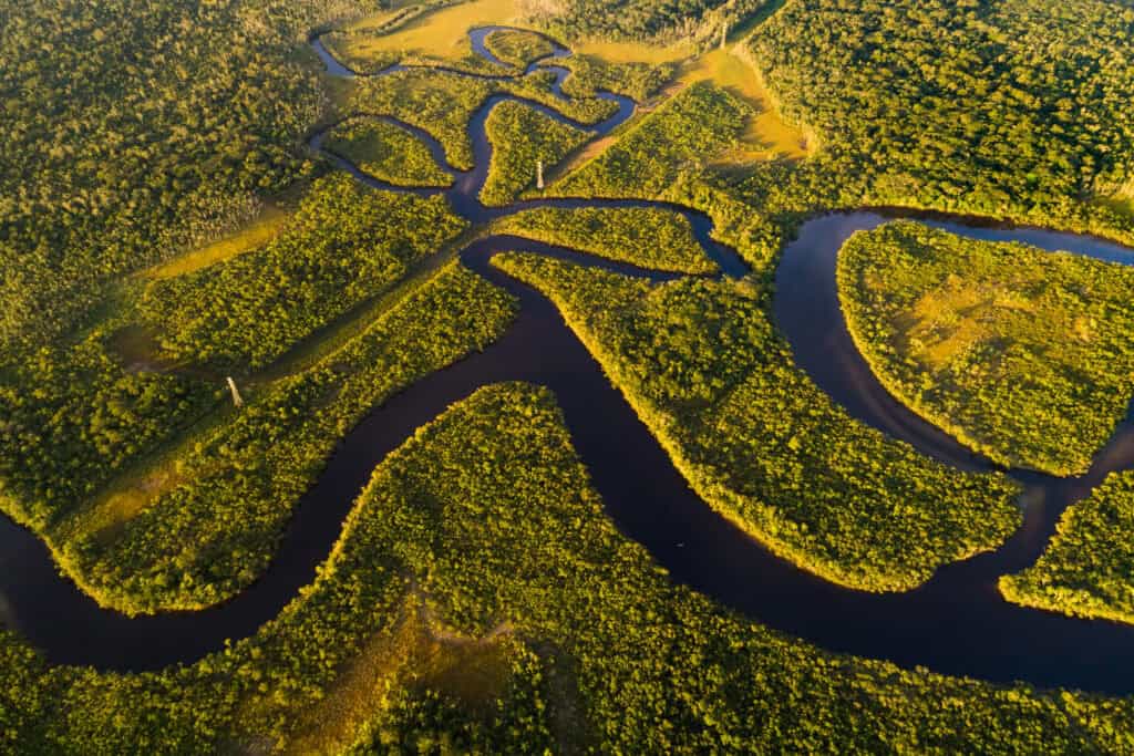 Amazon Rainforest, BrazilPeru