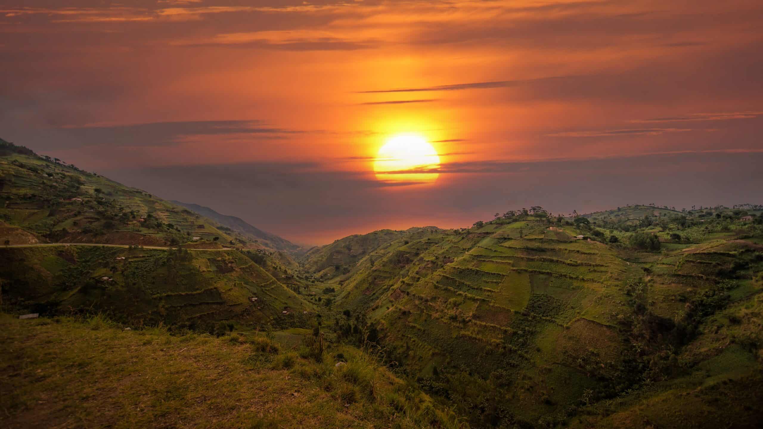 Bwindi Impenetrable Forest, Uganda