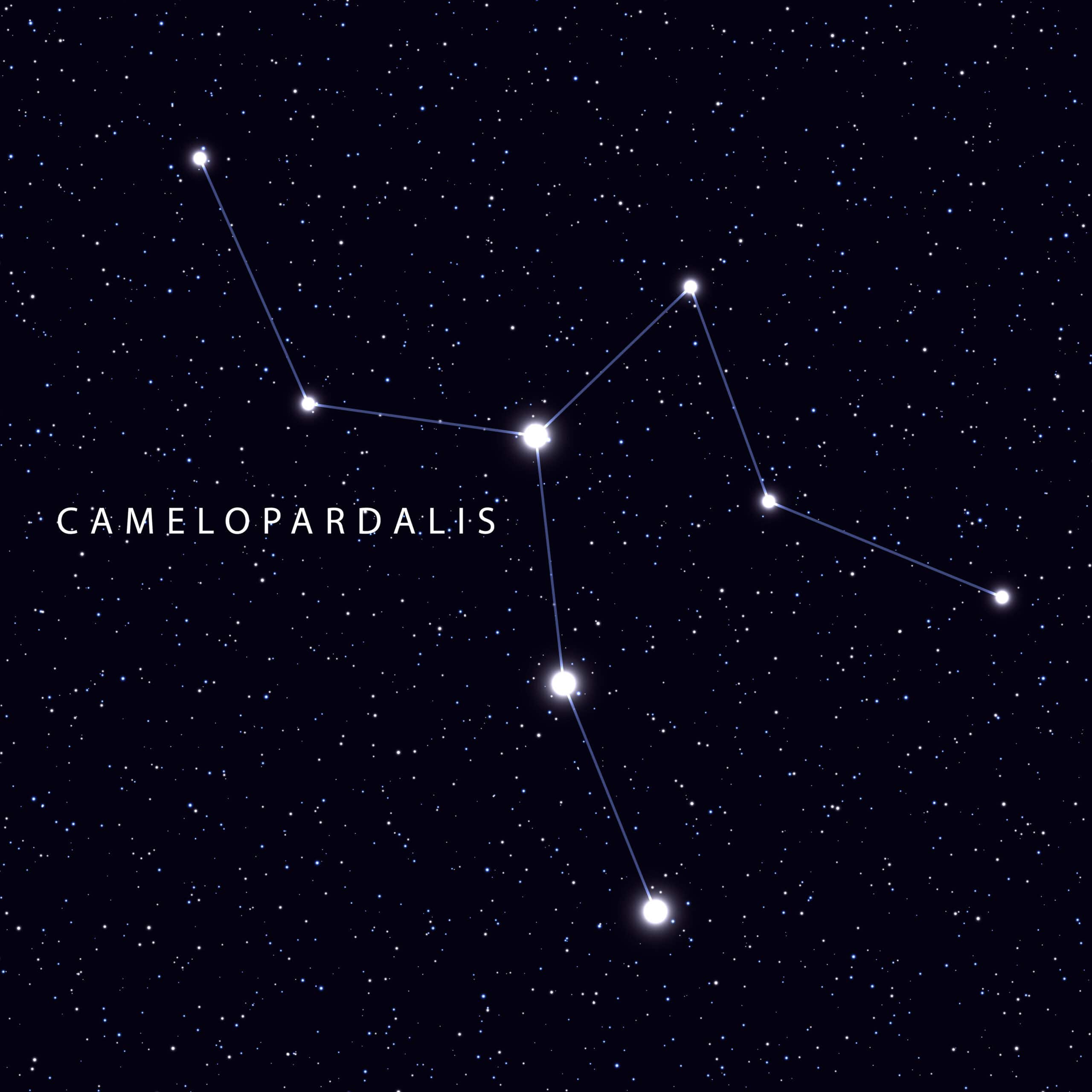 Camelopardalis constellation