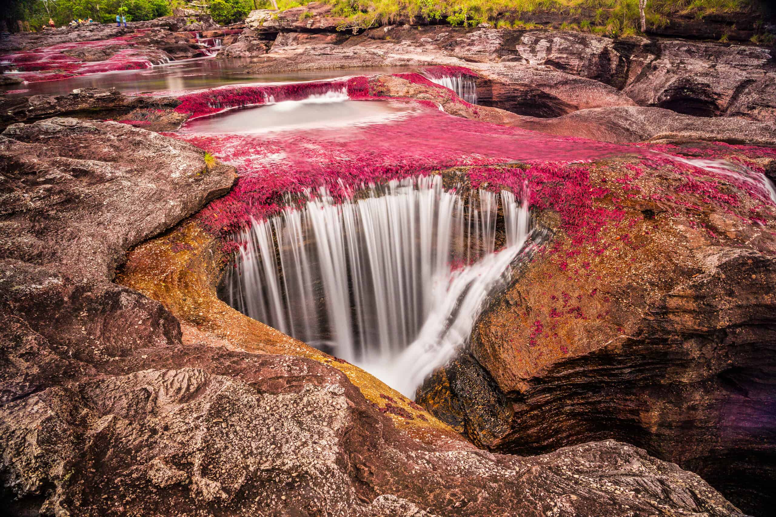 Cano Cristales, Colombia