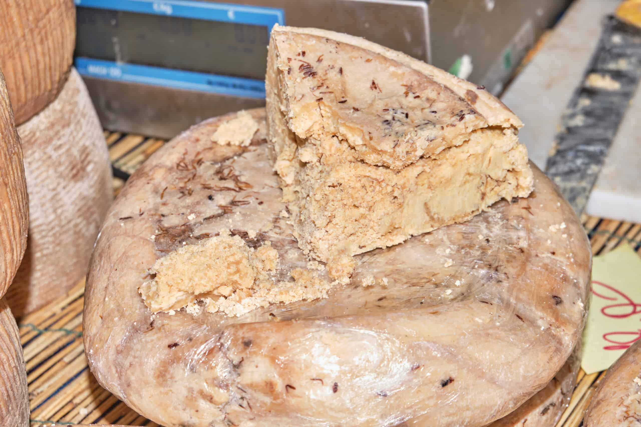 Casu Marzu (Italy)