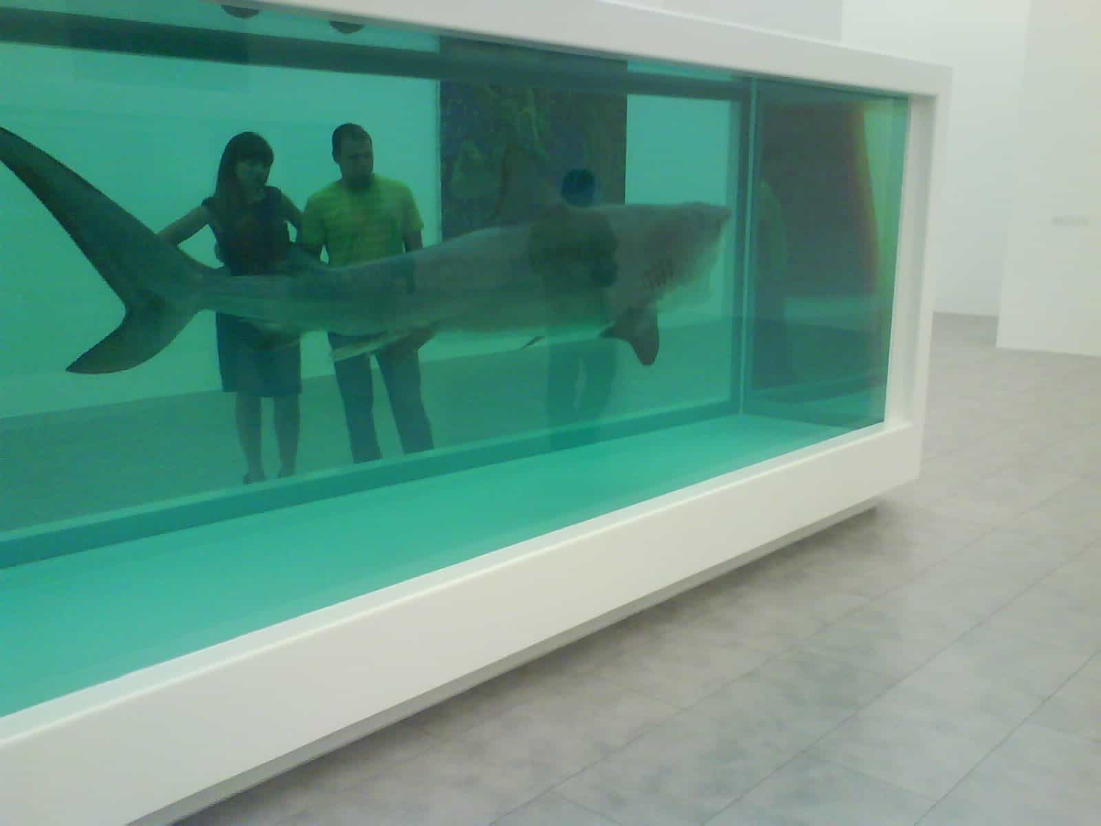 Damien Hirst's "The Physical Impossibility of Death in the Mind of Someone Living"