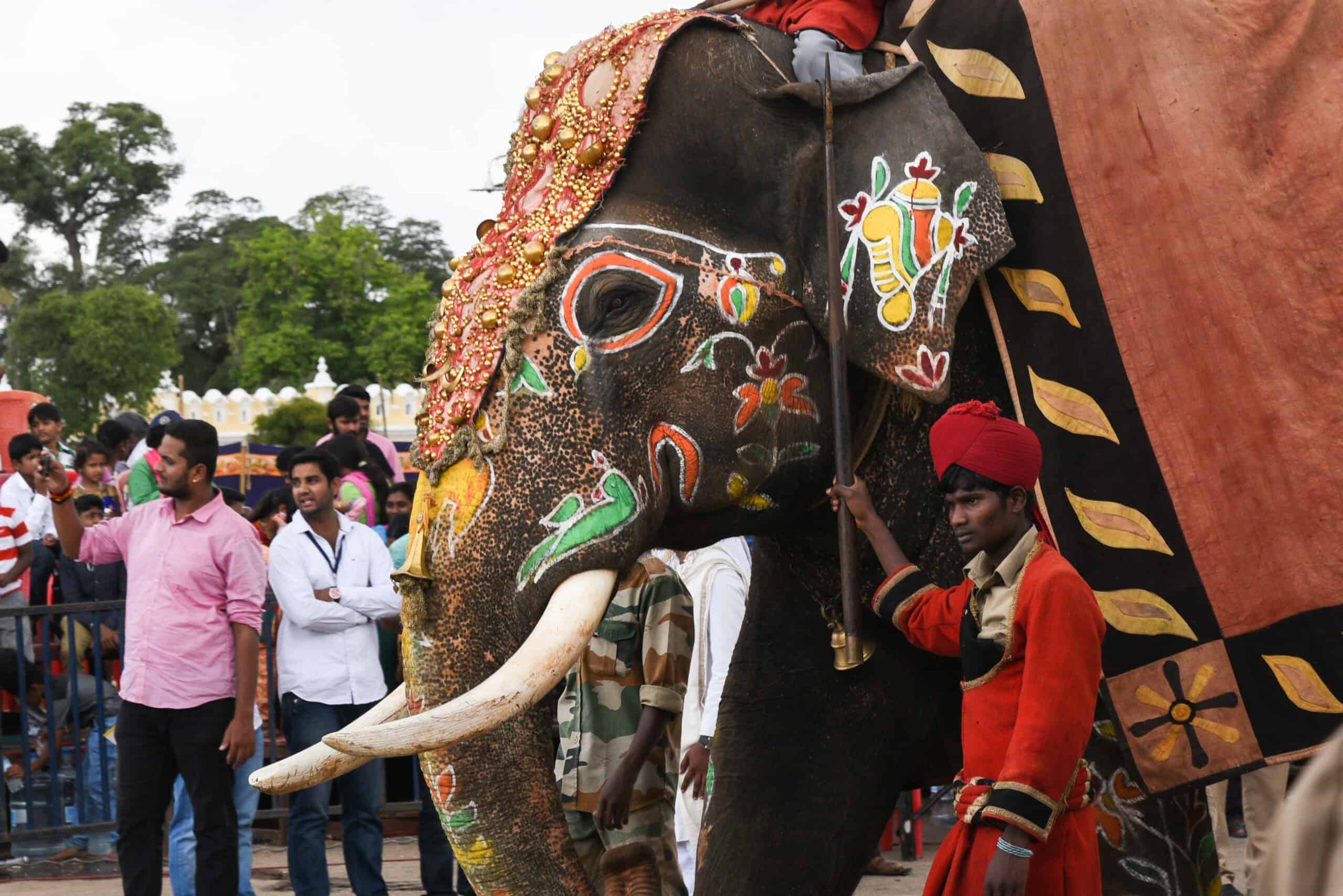 Elephant Dresser