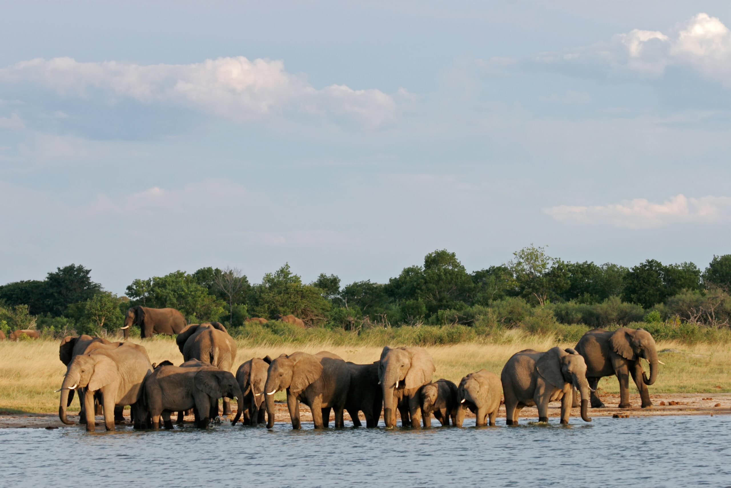 Hwange National Park, Zimbabwe