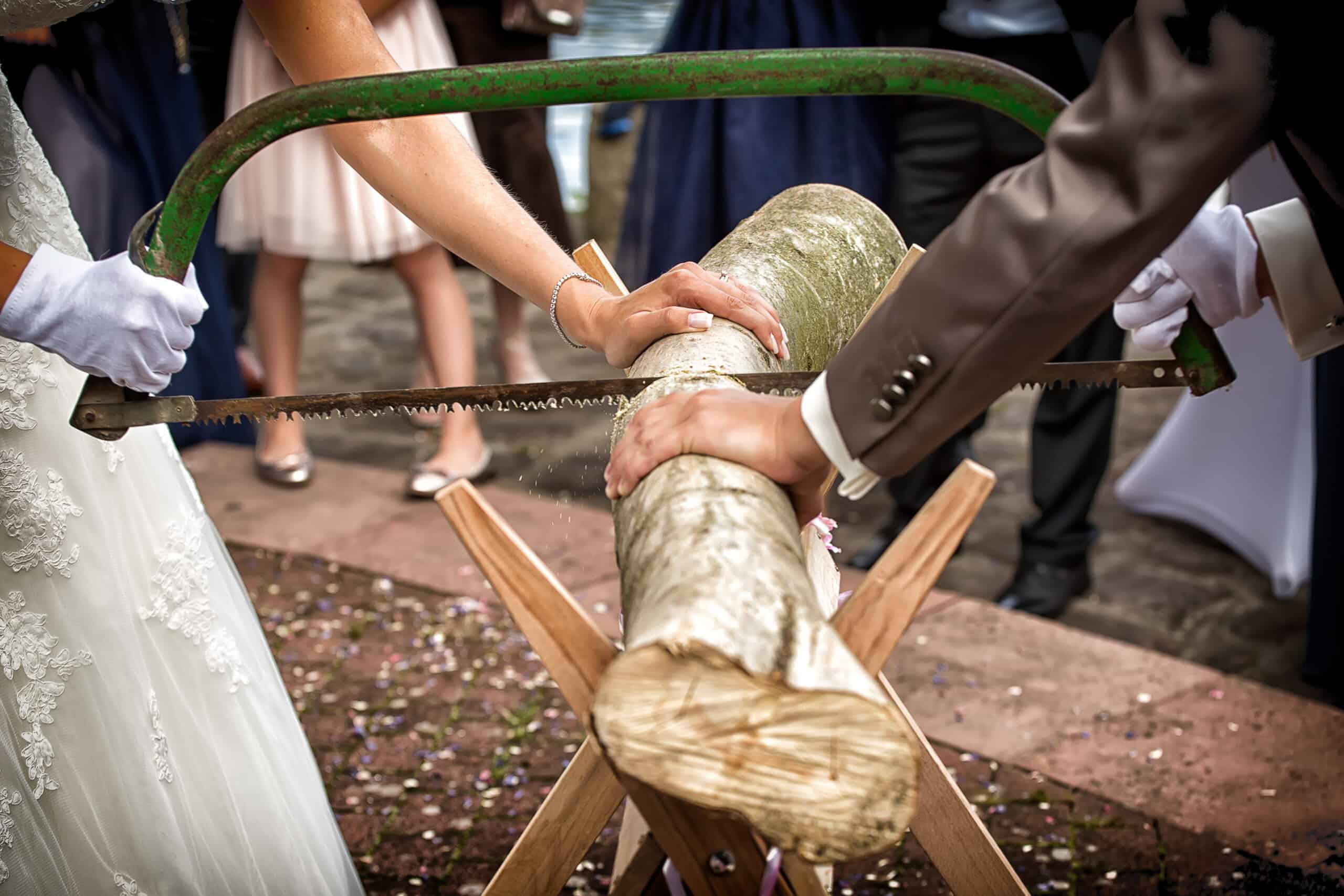 Log Cutting (Germany)