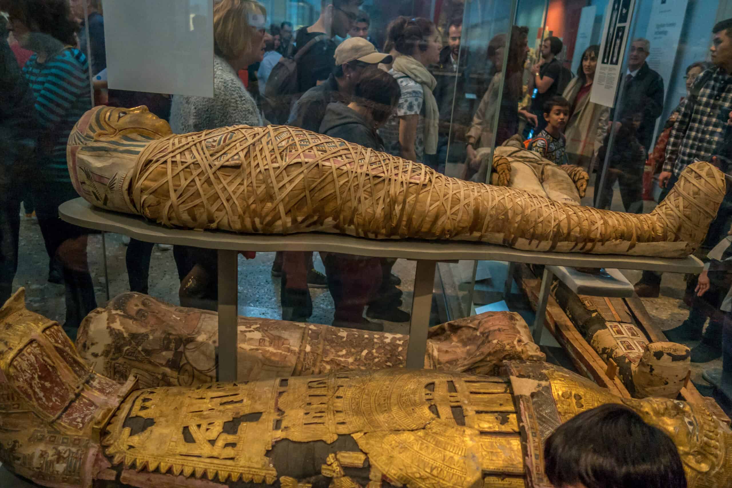 Mummified Remains