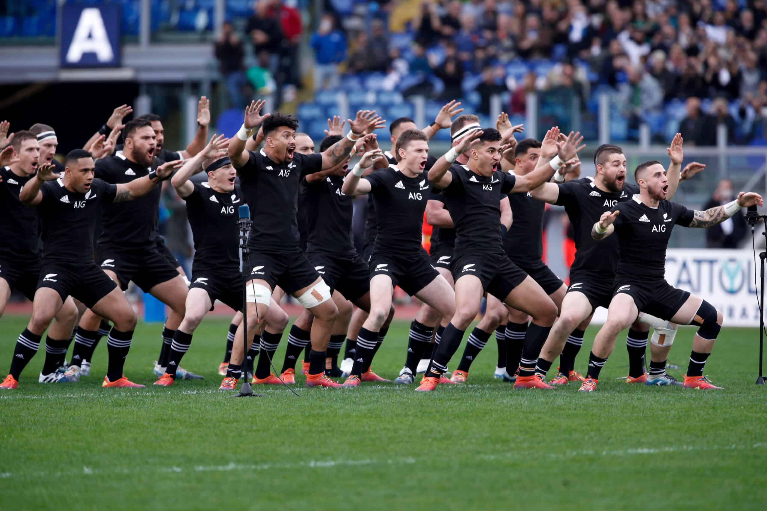 New Zealand All Blacks