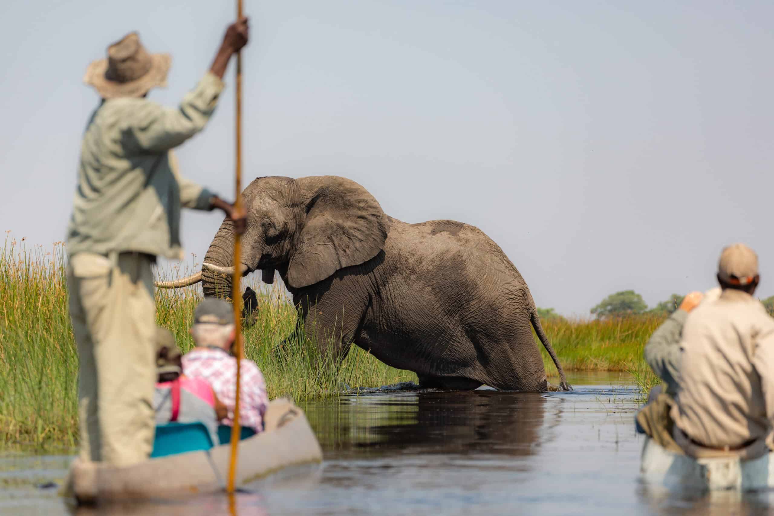 Okavango Delta, Botswana