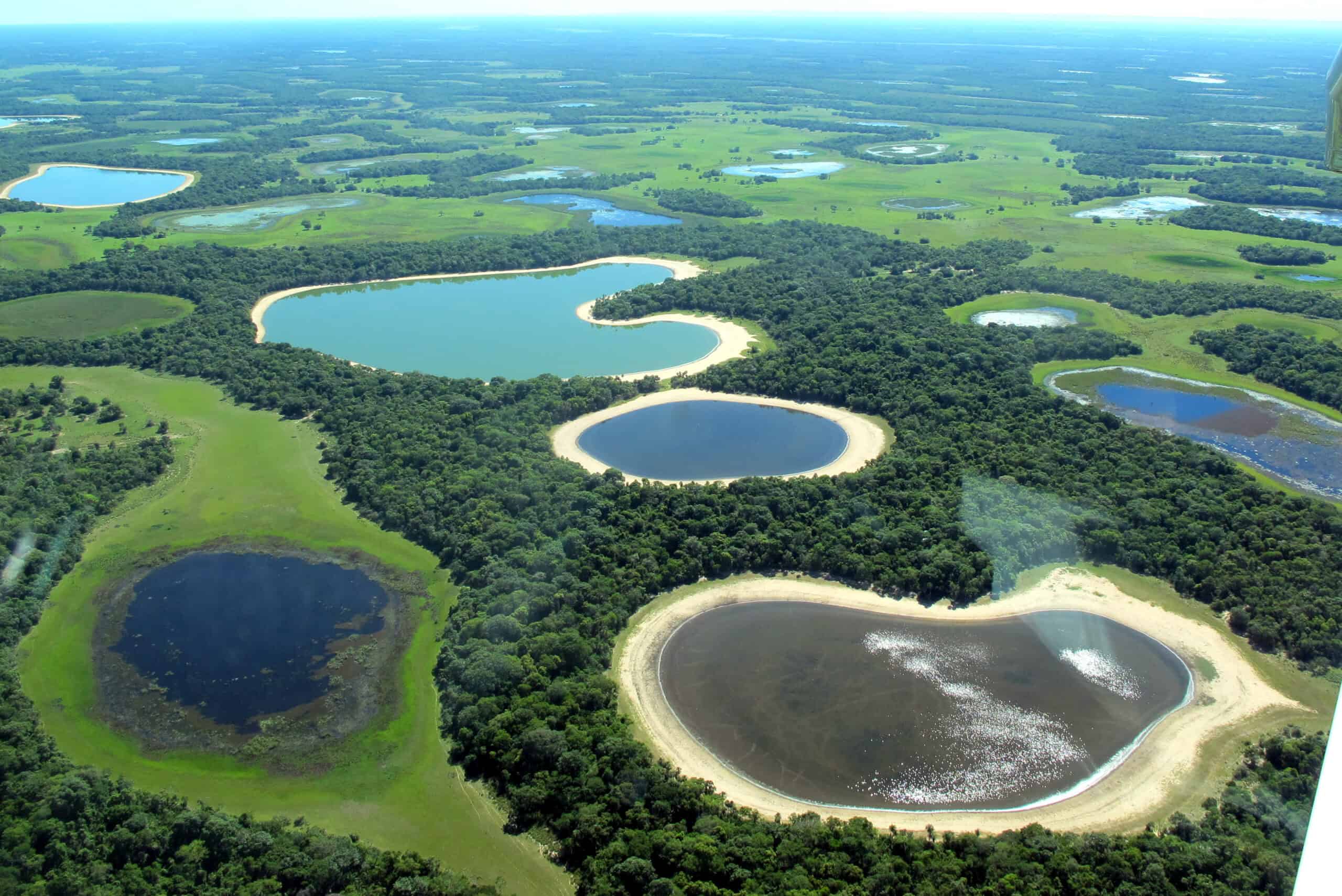 Pantanal, Brazil