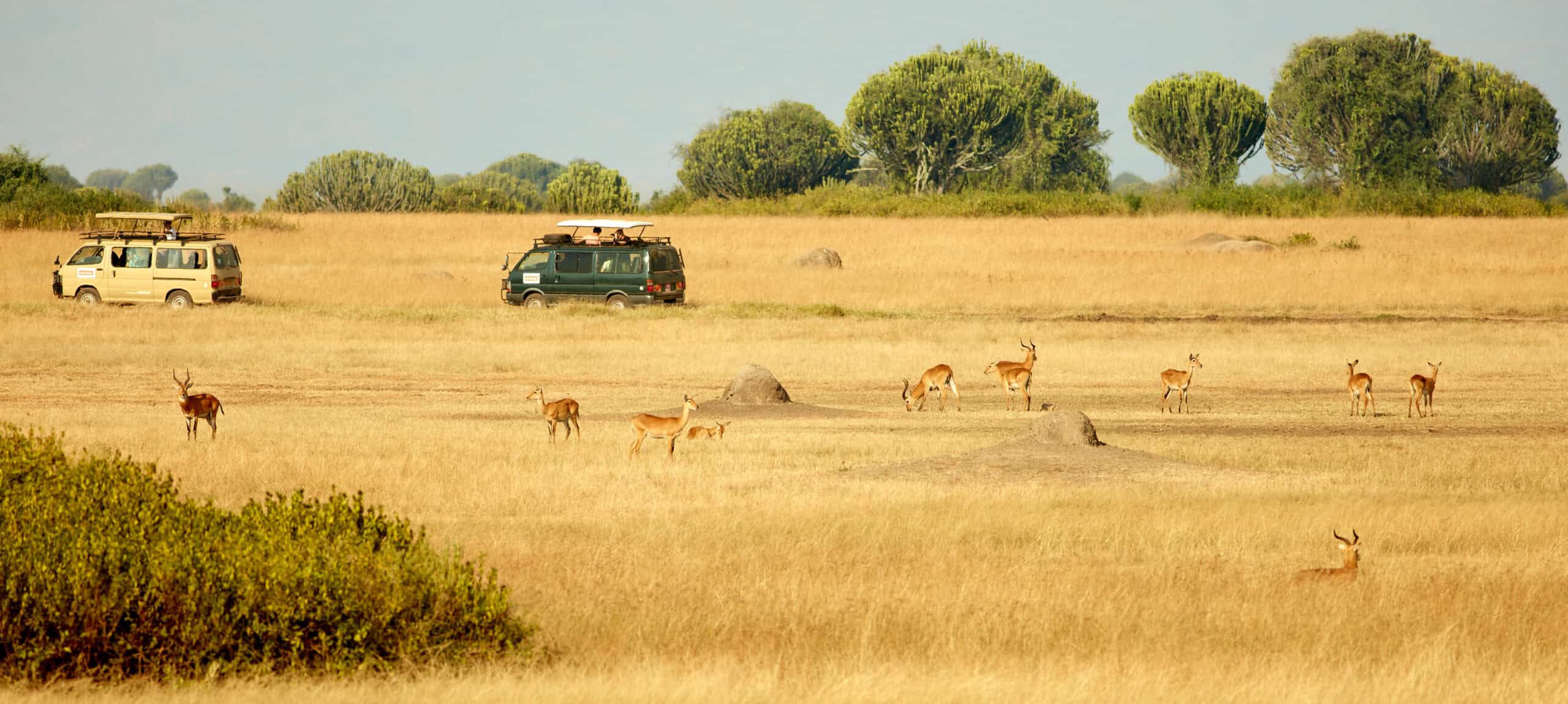 Queen Elizabeth National Park, Uganda