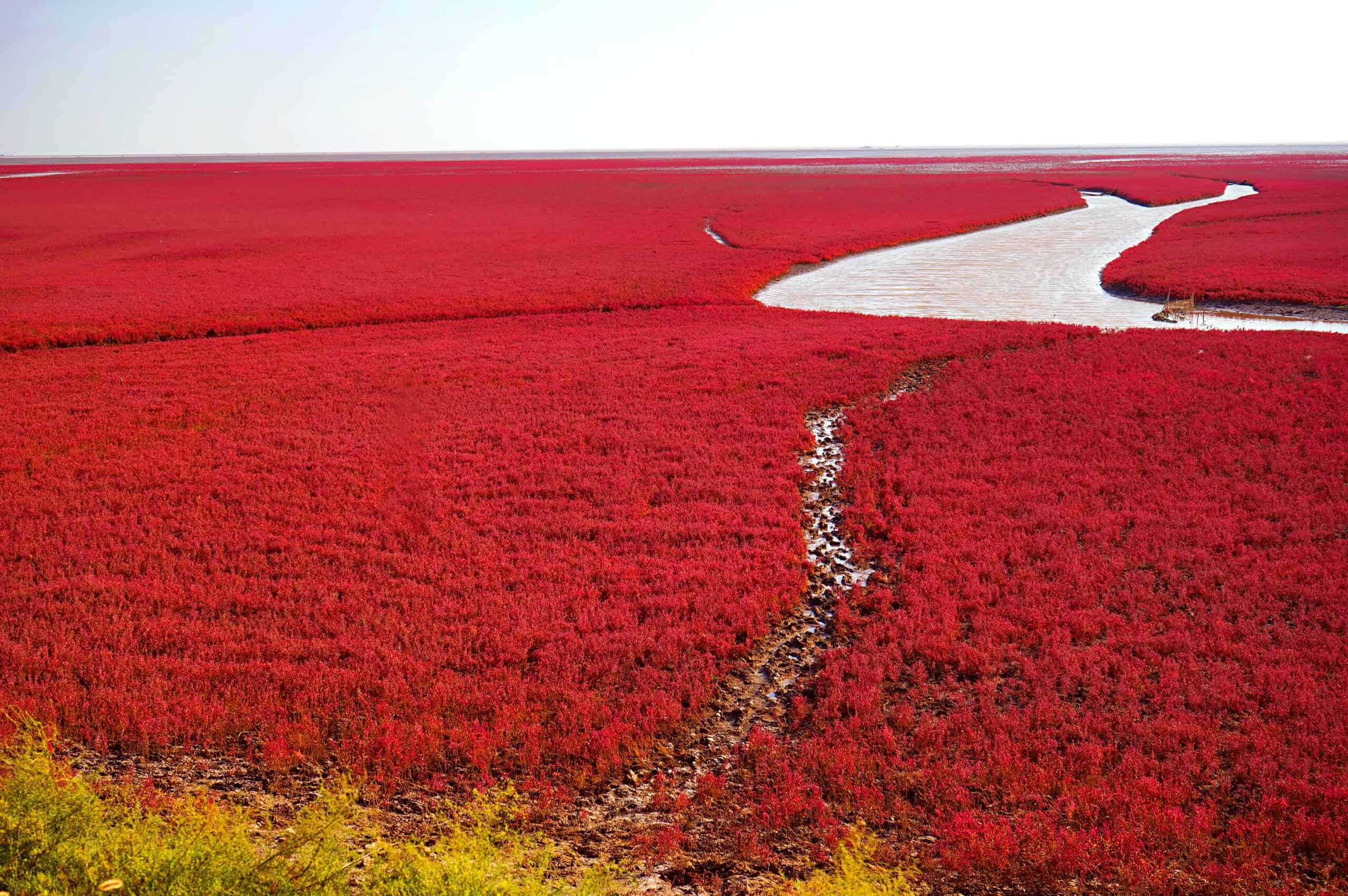 Red Beach, China