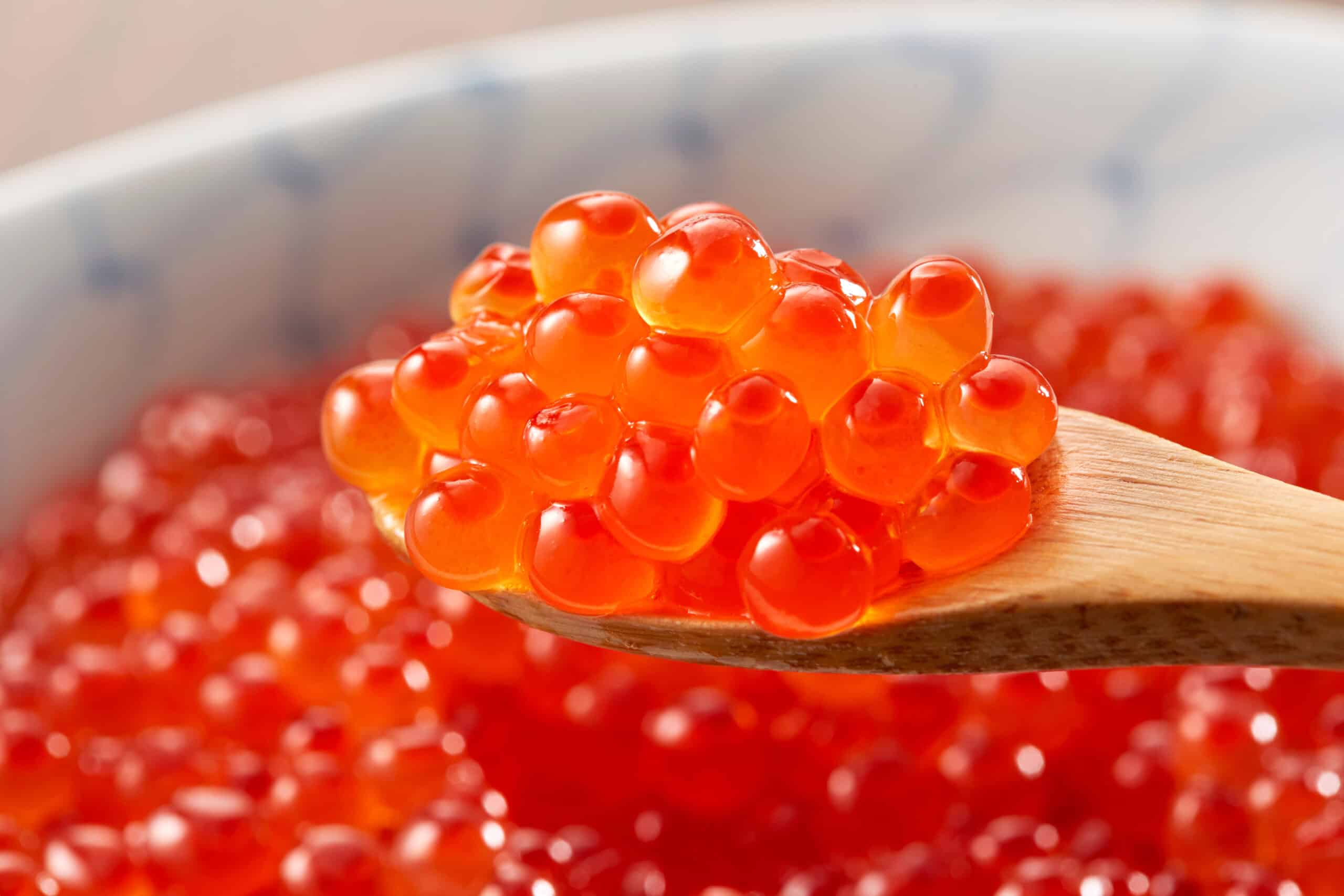 Salmon Roe (Ikura)