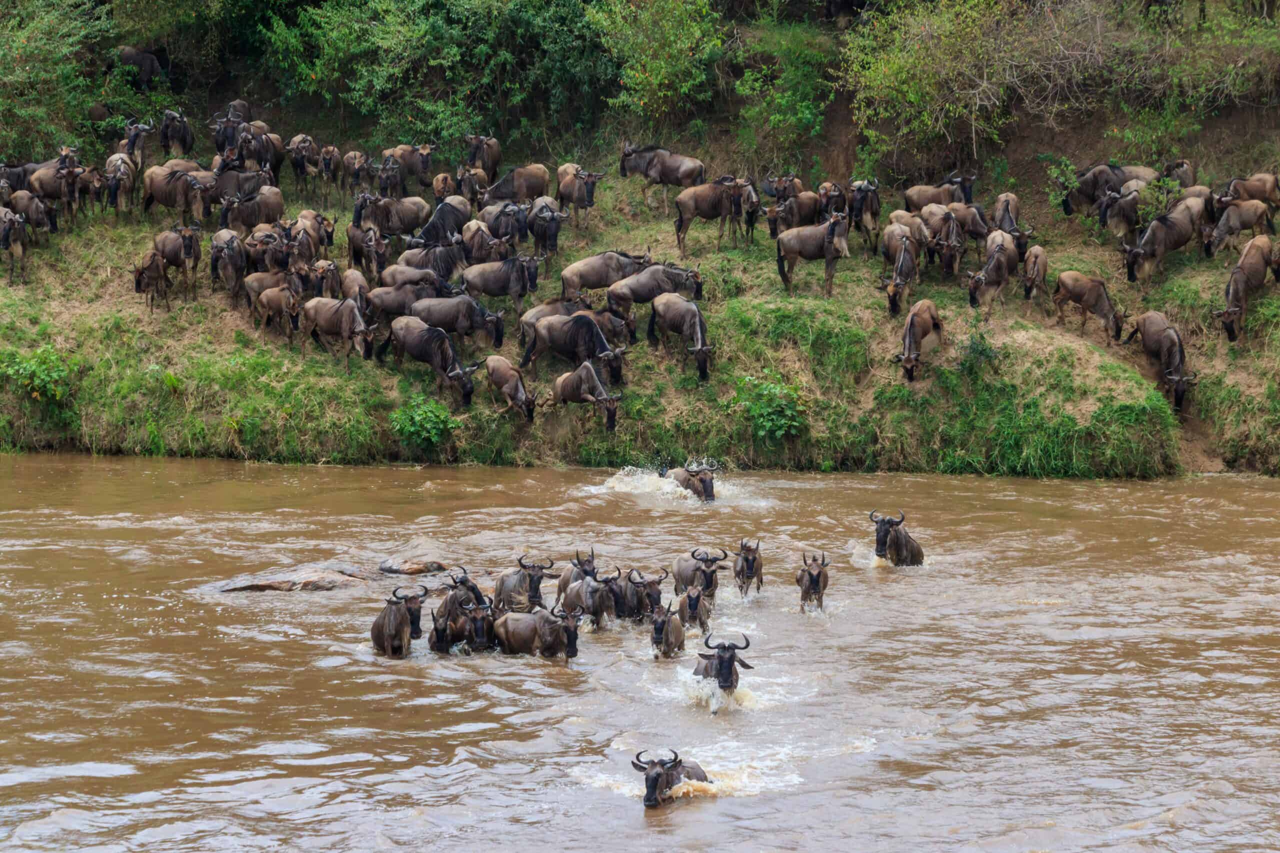 Serengeti National Park, Tanzania