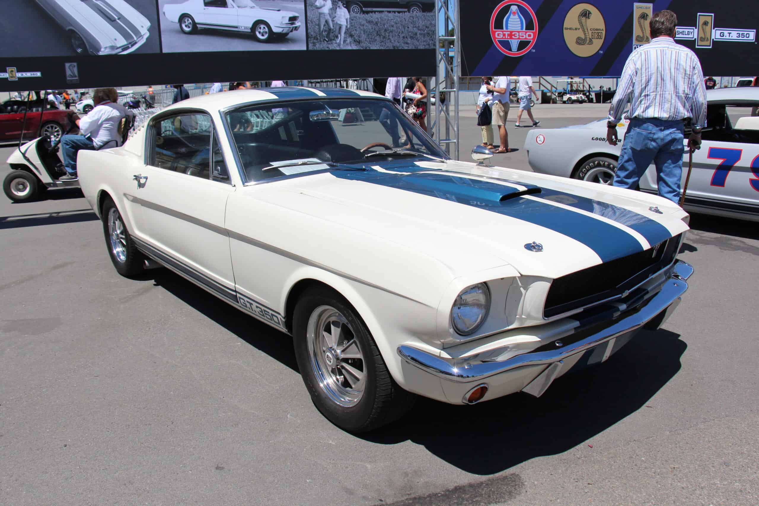 Shelby GT350 Fastback (1965)