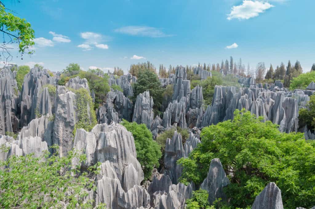 Stone Forest, China