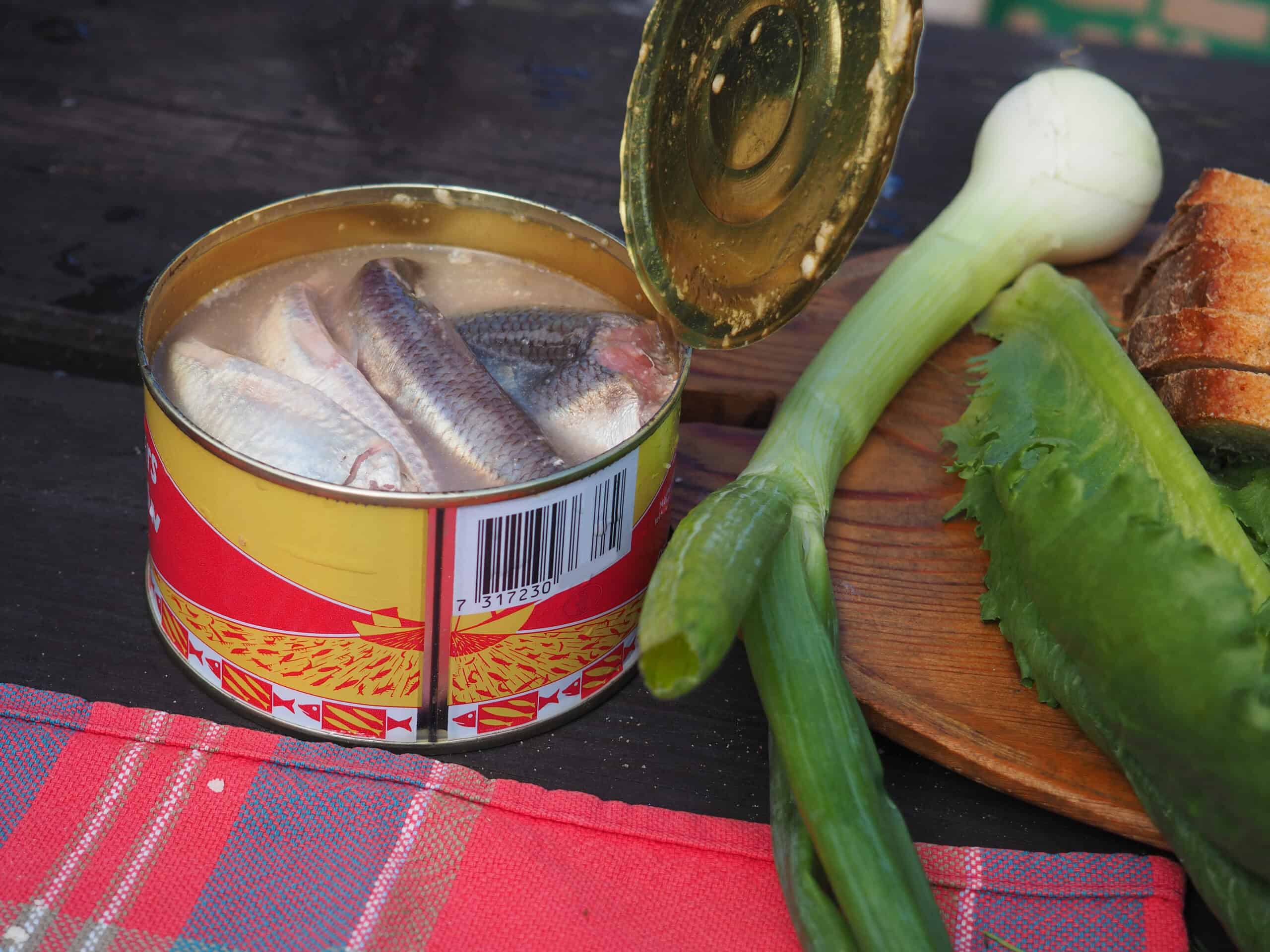 Surströmming (Sweden)