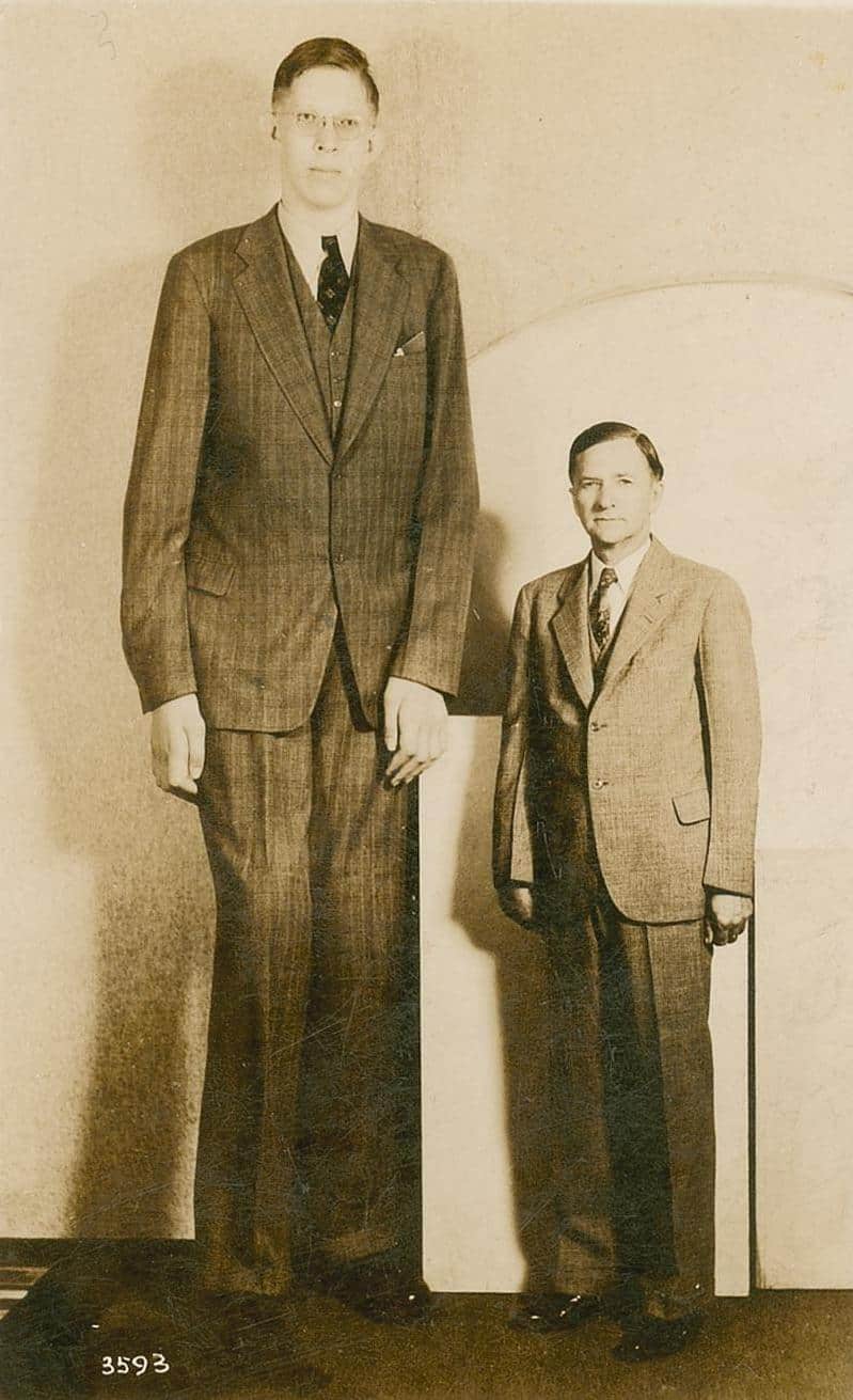 Tallest Man Ever