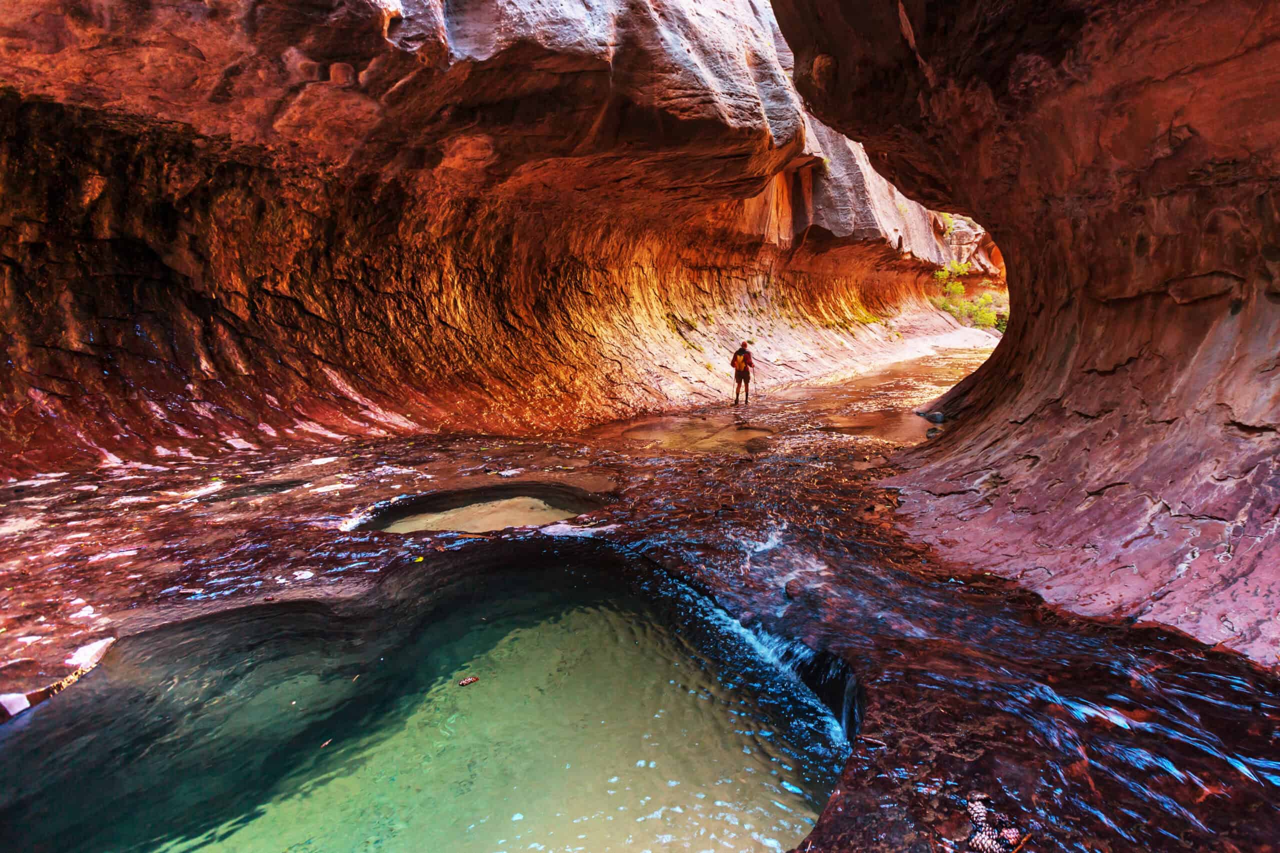 The Narrows - Zion National Park