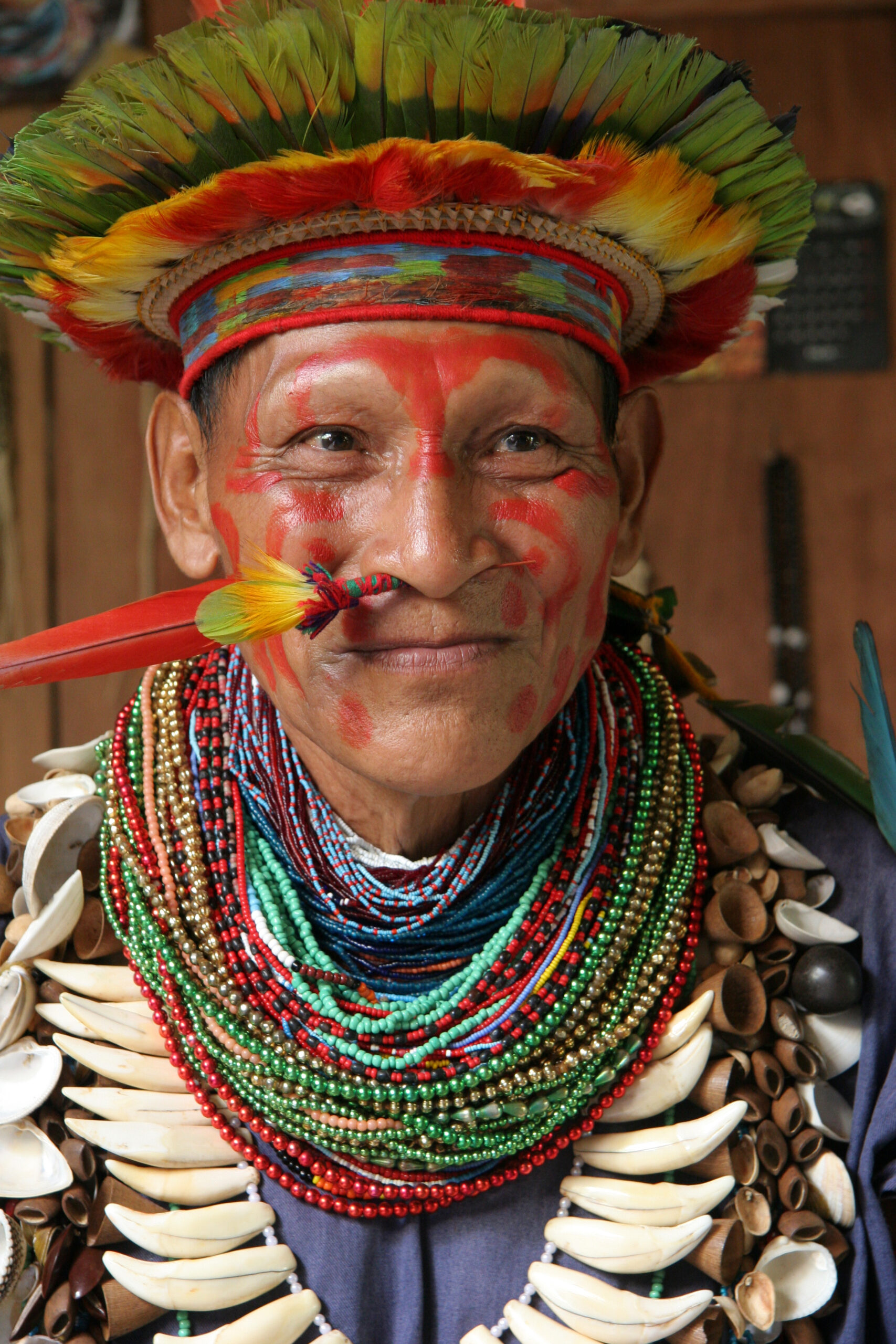 Ayahuasca Ceremony (Amazonian Tribes, South America)