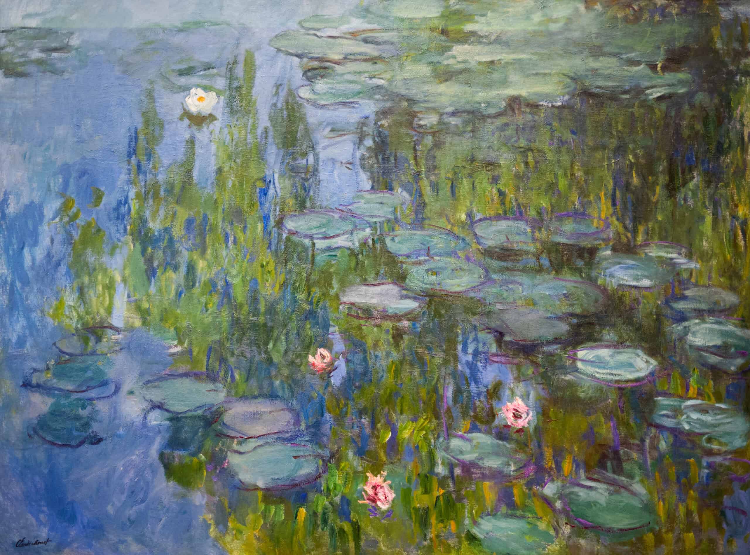 Claude Monet’s Water Lilies